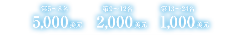 第5 ~ 8名 5,000美元 第9 ~ 12名 2,000美元 第13 ~ 24名 1,000美元