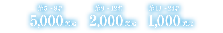 第5 ~ 8名 5,000 美元 第9 ~ 12名 2,000 美元 第13 ~ 24名 1,000 美元