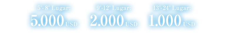 5º-8º lugar 5.000 USD 9º-12º lugar 2.000 USD 13º-24º lugar 1.000 USD